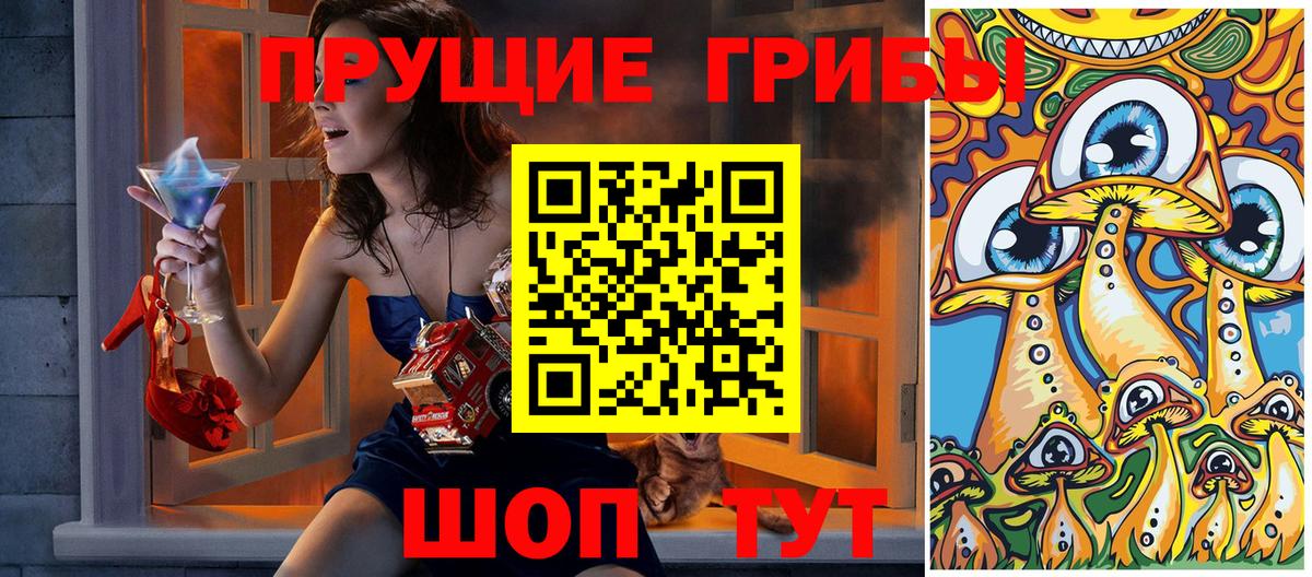 Галлюциногенные грибы прущие грибы Великие Луки